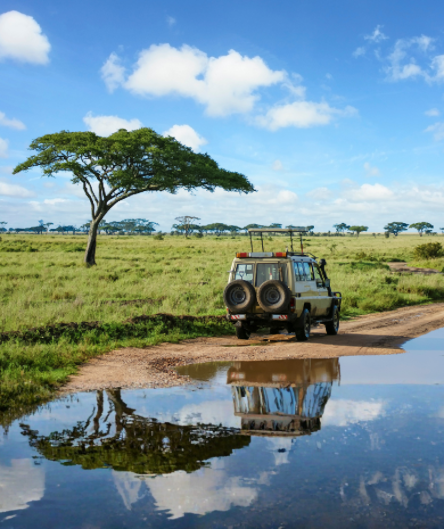 Ein Safari-Fahrzeug steht auf einem Feldweg in der afrikanischen Savanne. Ein Safari-Fahrzeug steht auf einem Feldweg in der afrikanischen Savanne.