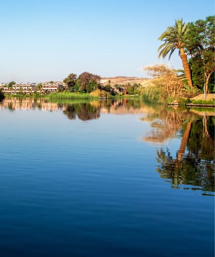 Ruhiges, blaues Wasser spiegelt Palmen und Gebäude am Ufer einer Oase. Im Hintergrund erstrecken sich grüne Bäume und flache Hügel.